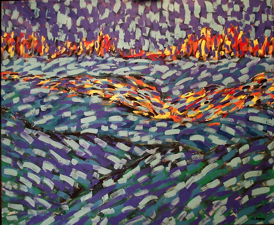 30 adam bojara akryl pŁ. 1998