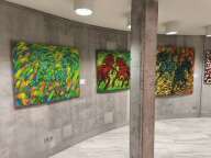 centru olimpijskie xi 20025 (4)